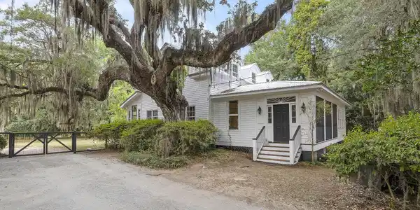 Image 3: Gorgeous Live Oak