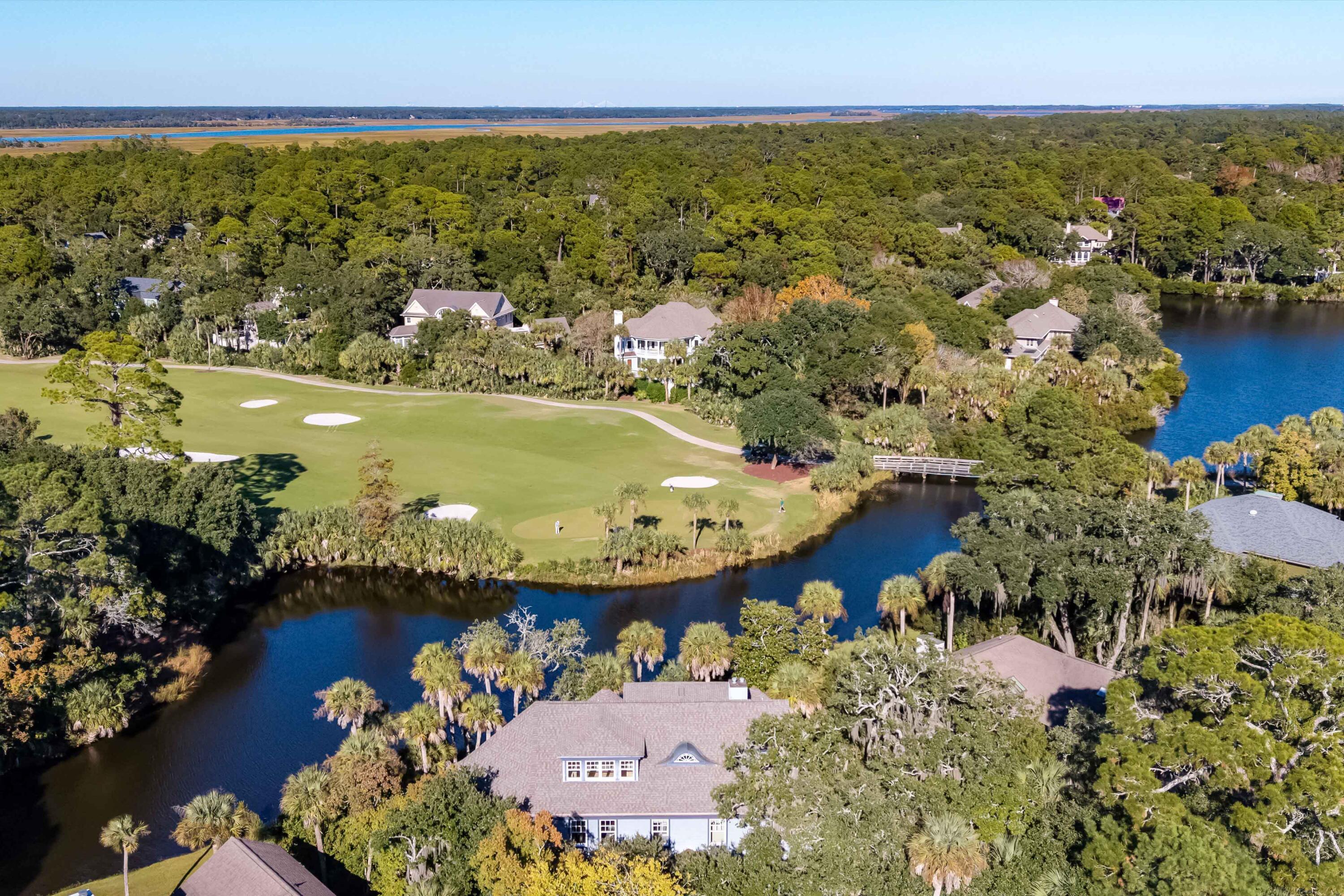 Image 4: 141 Hooded Merganser