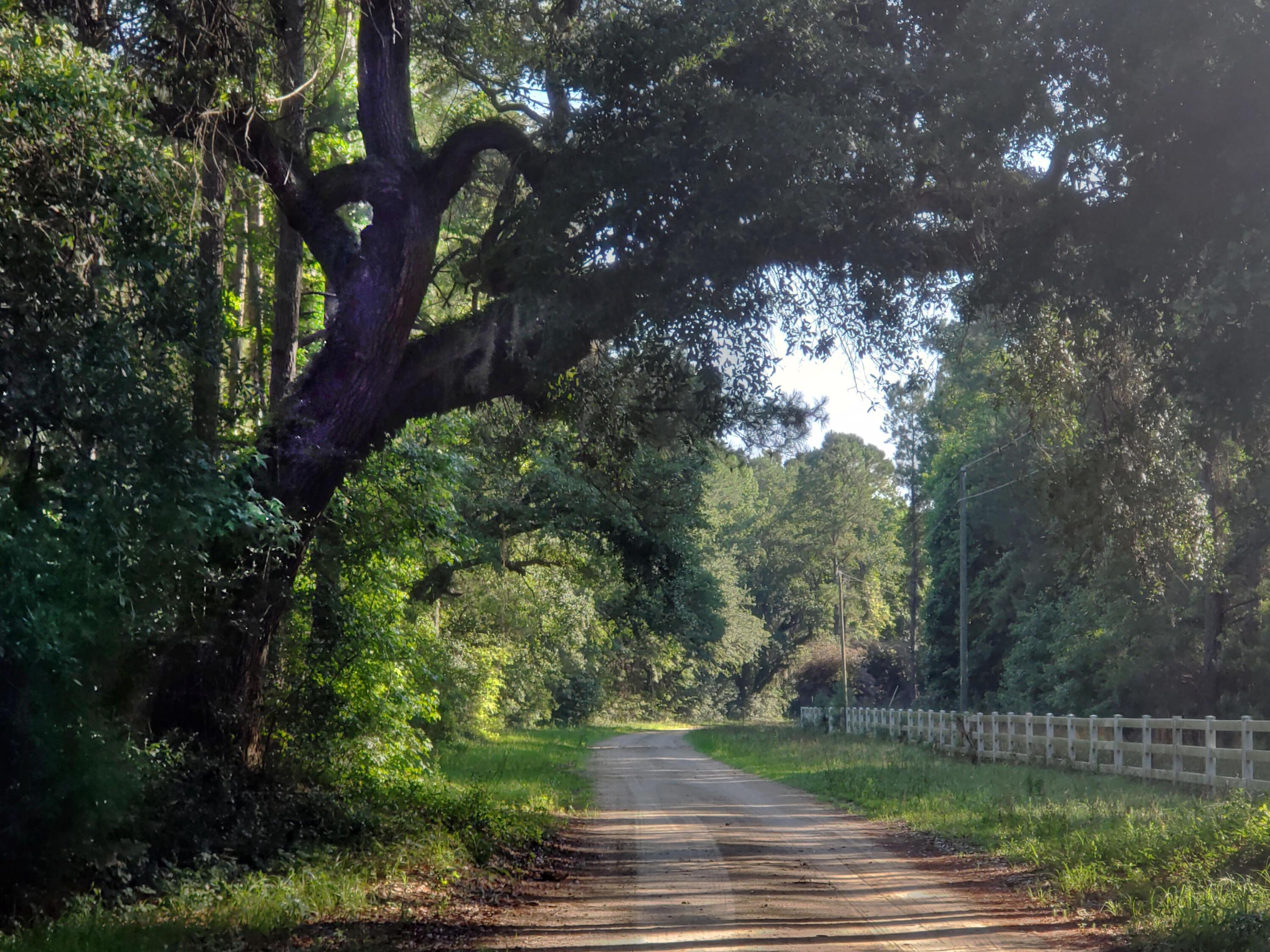 Image 2: 1-Oaks-on-Old-Georgetown