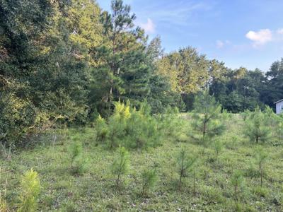 8361 Shell House Road