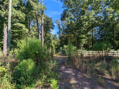 10725 N Hwy 17