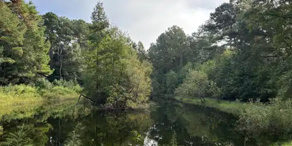 Providence Circle