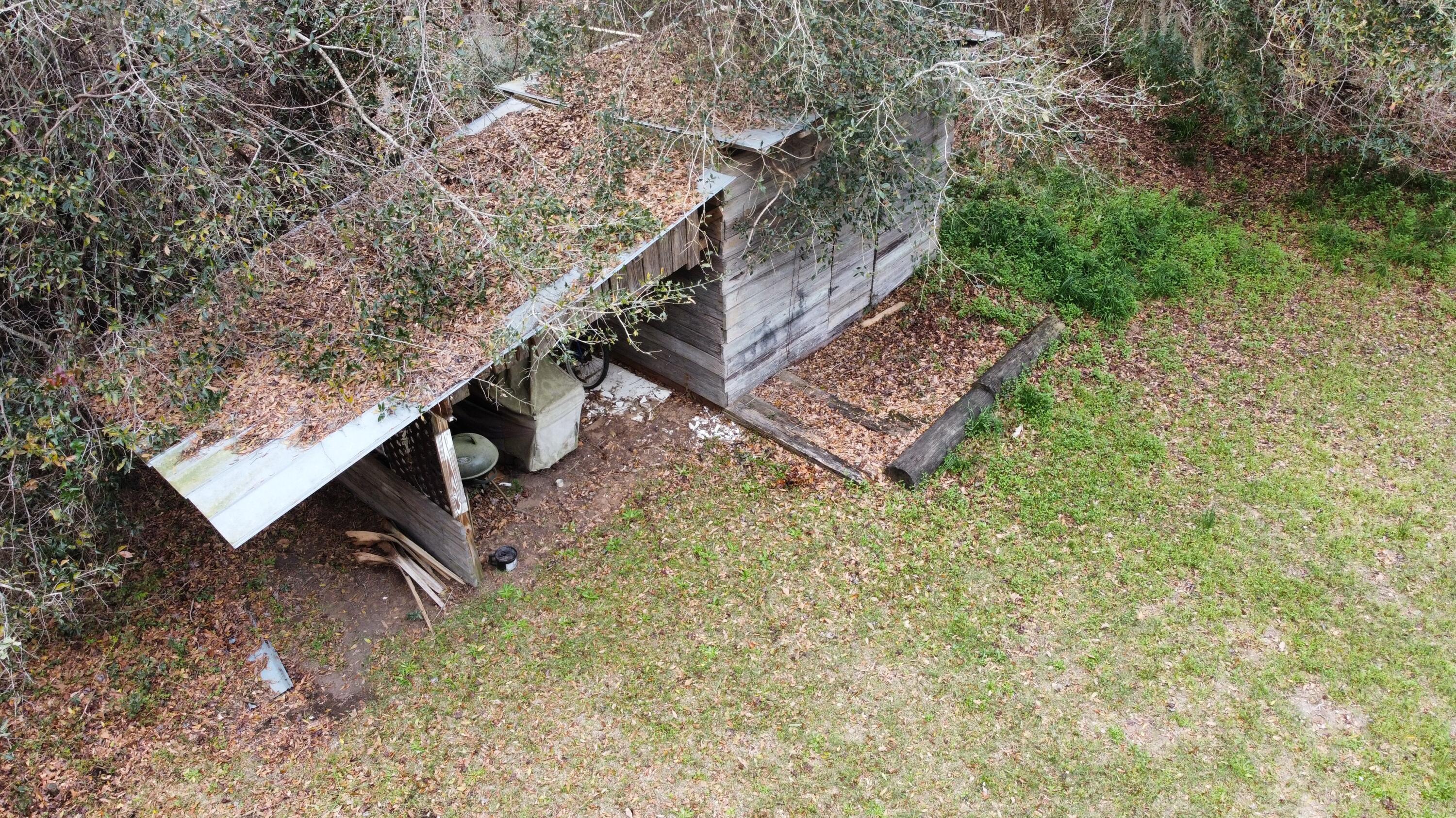 Image 3: IMG_4785
