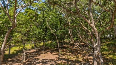 31 Tupelo Trail