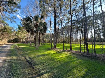8167 Fisk Court