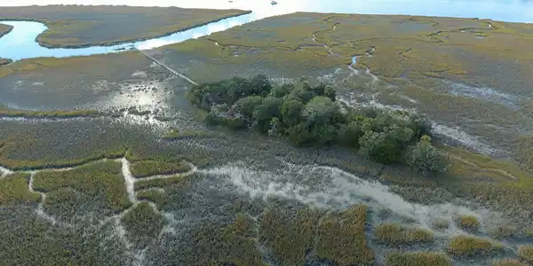 0 Holland Island Creek