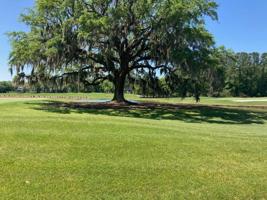 4517 Hope Plantation Drive