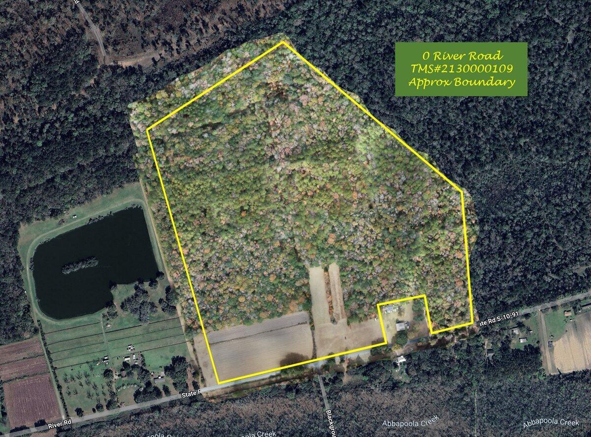 Image 4: 0 River road (1)