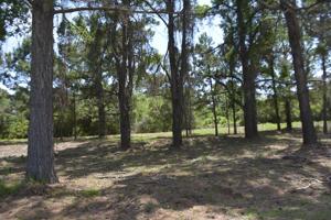 40 Blackbear Dr