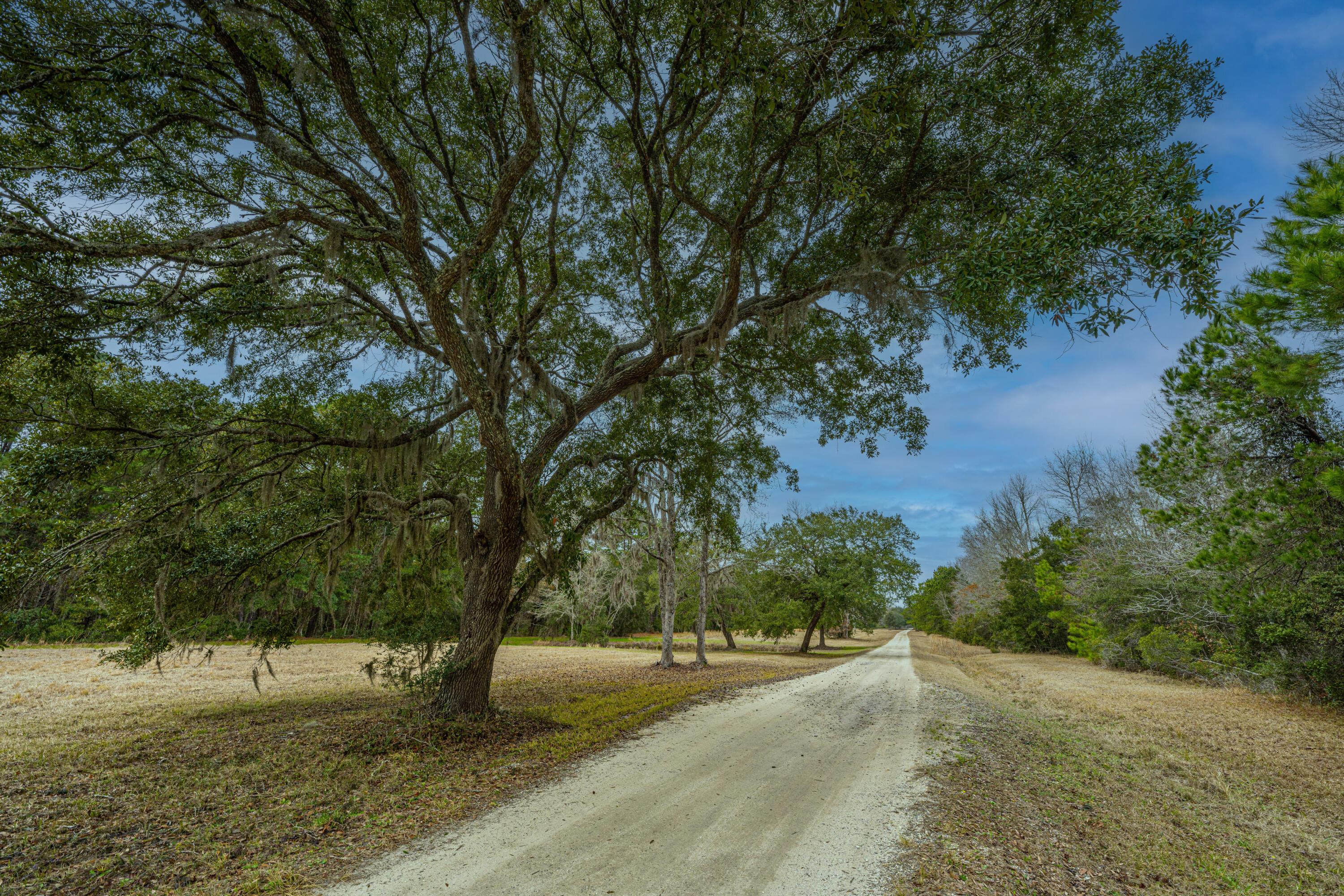 Image 3: 8463NorthHwy17_004