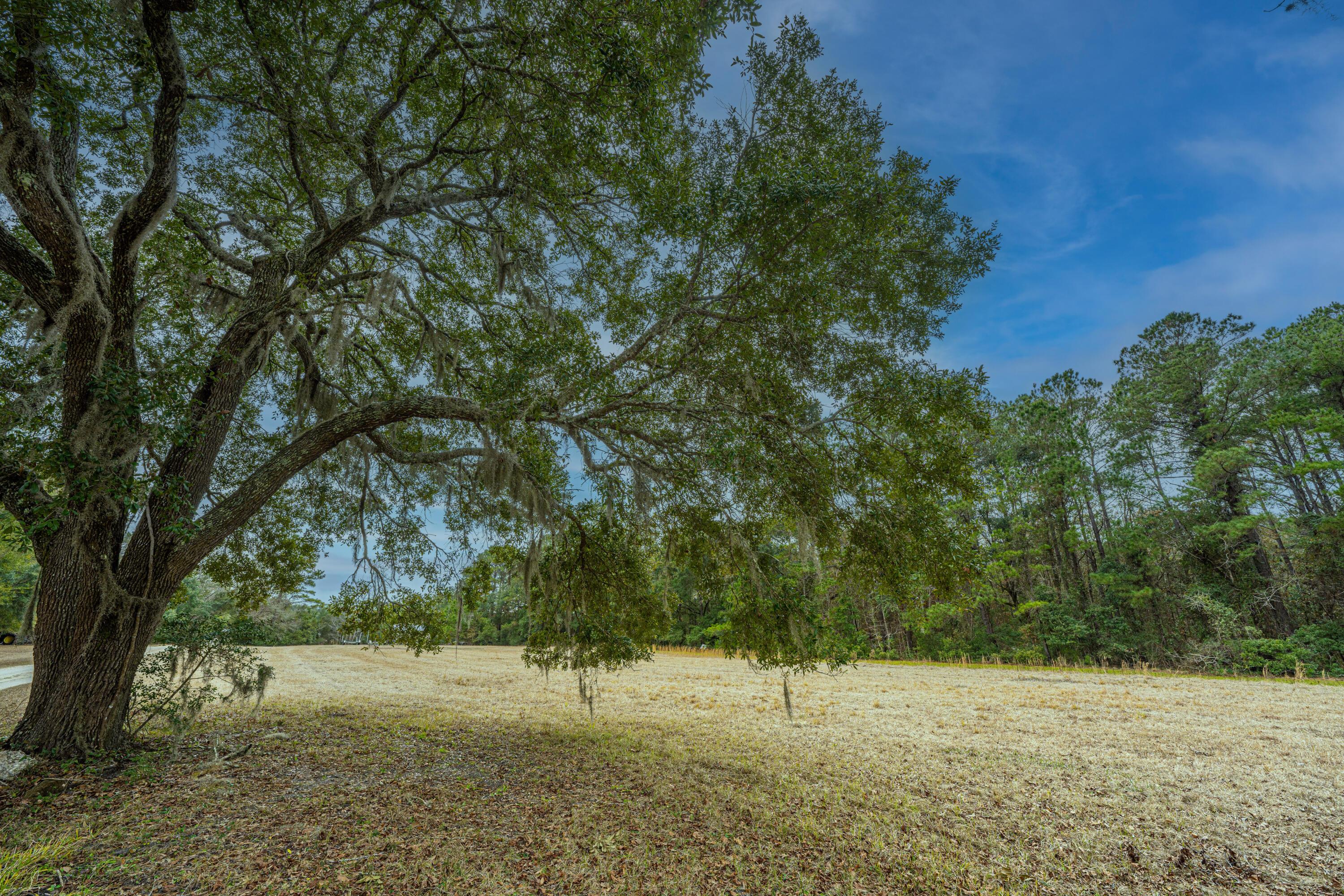 Image 4: 8463NorthHwy17_005