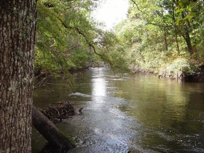 Sandy Landing Lane
