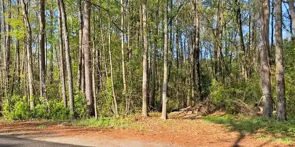 1860 Ferguson Road