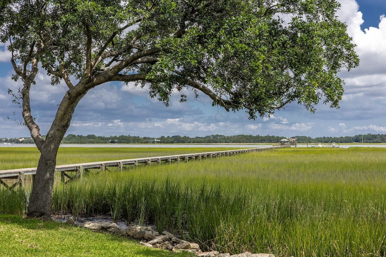 Image 2: 1528HurtesIsland-JTPhoto-091