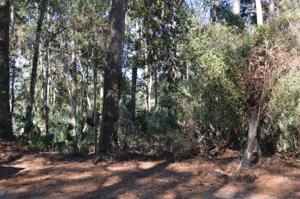3107 Baywood Drive