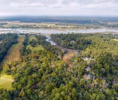 3370 William Freeman Lane