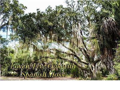 52 Painted Bunting Trail
