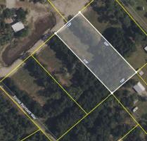 A - 4c Palmetto Road