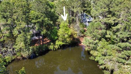 2113 Royal Pine Drive