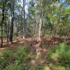 0000 Sugar Pond Road