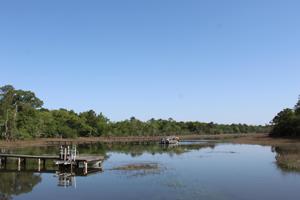 Lot 4 Island Creek Trail