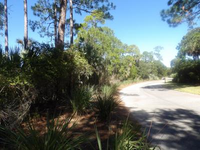 207 Chinaberry Lane