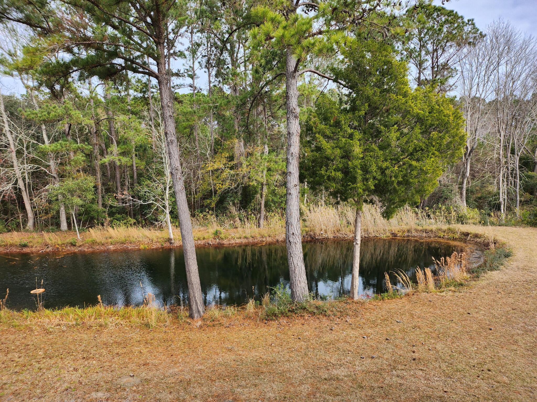 Image 3: 3) 54253-67c4e359c8a9d