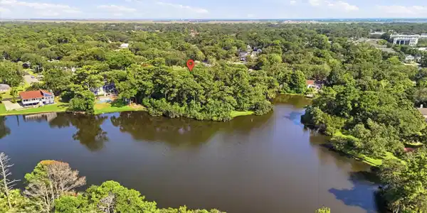 Image 2: Lake Aerial