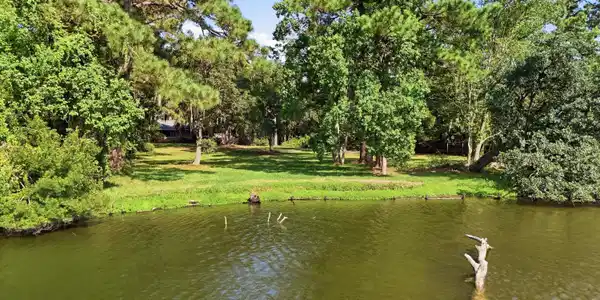 Image 3: Back aerial