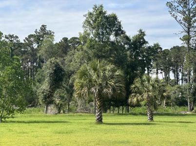 8384 Palmetto Road, Edisto Island SC 29438