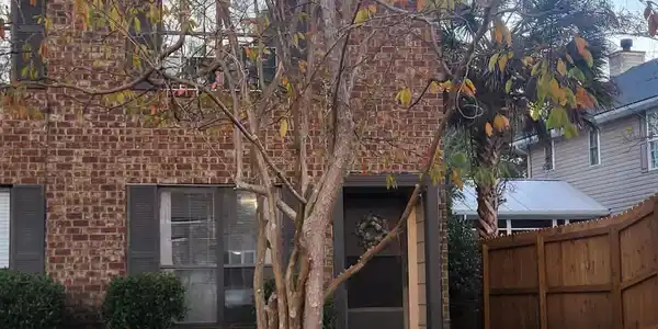 10 Bass Lane