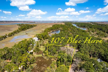 107 Blue Heron Pond Road, Kiawah Island SC 29455