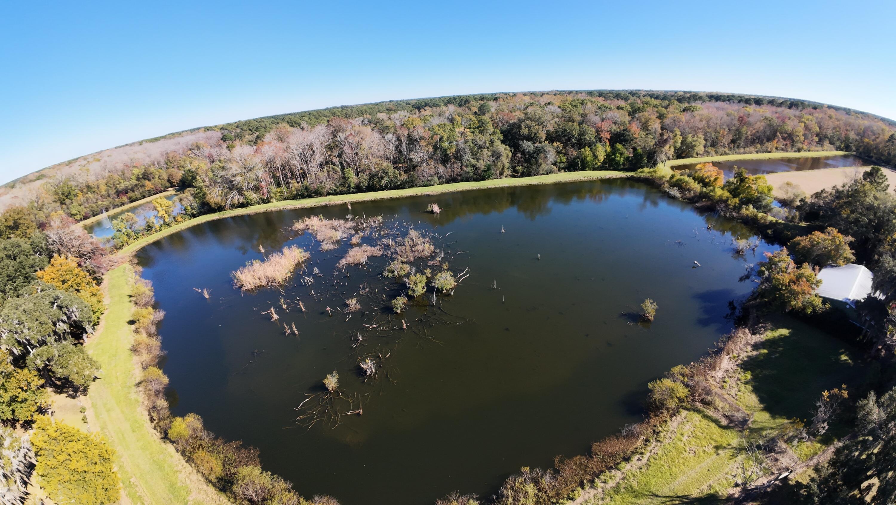 Image 4: 4A8A4101-4C5D-4B99-9A0D-5D9970C158C0