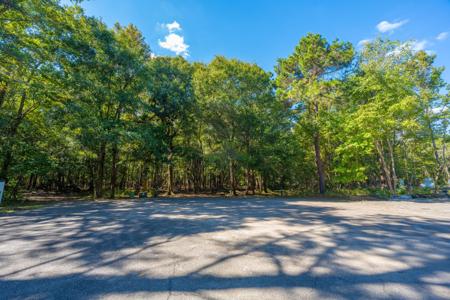 4298 Wild Turkey Way, Johns Island SC 29455