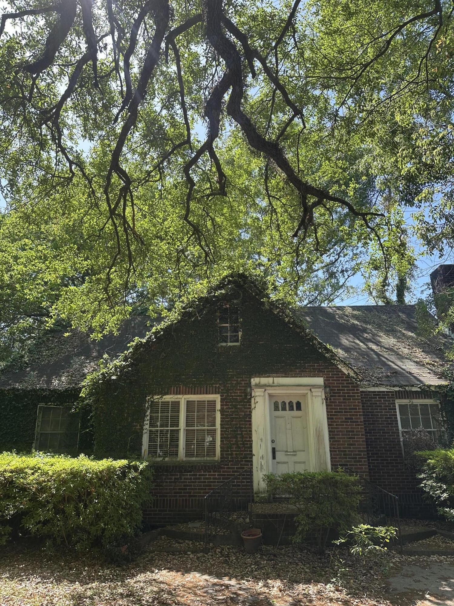 Image 2: 11 Oakdale Place