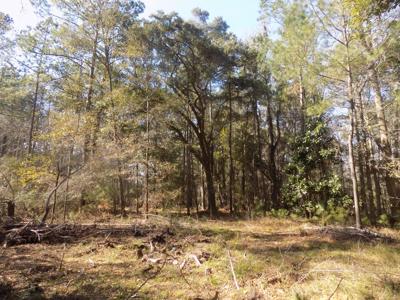 2323 Highway 174