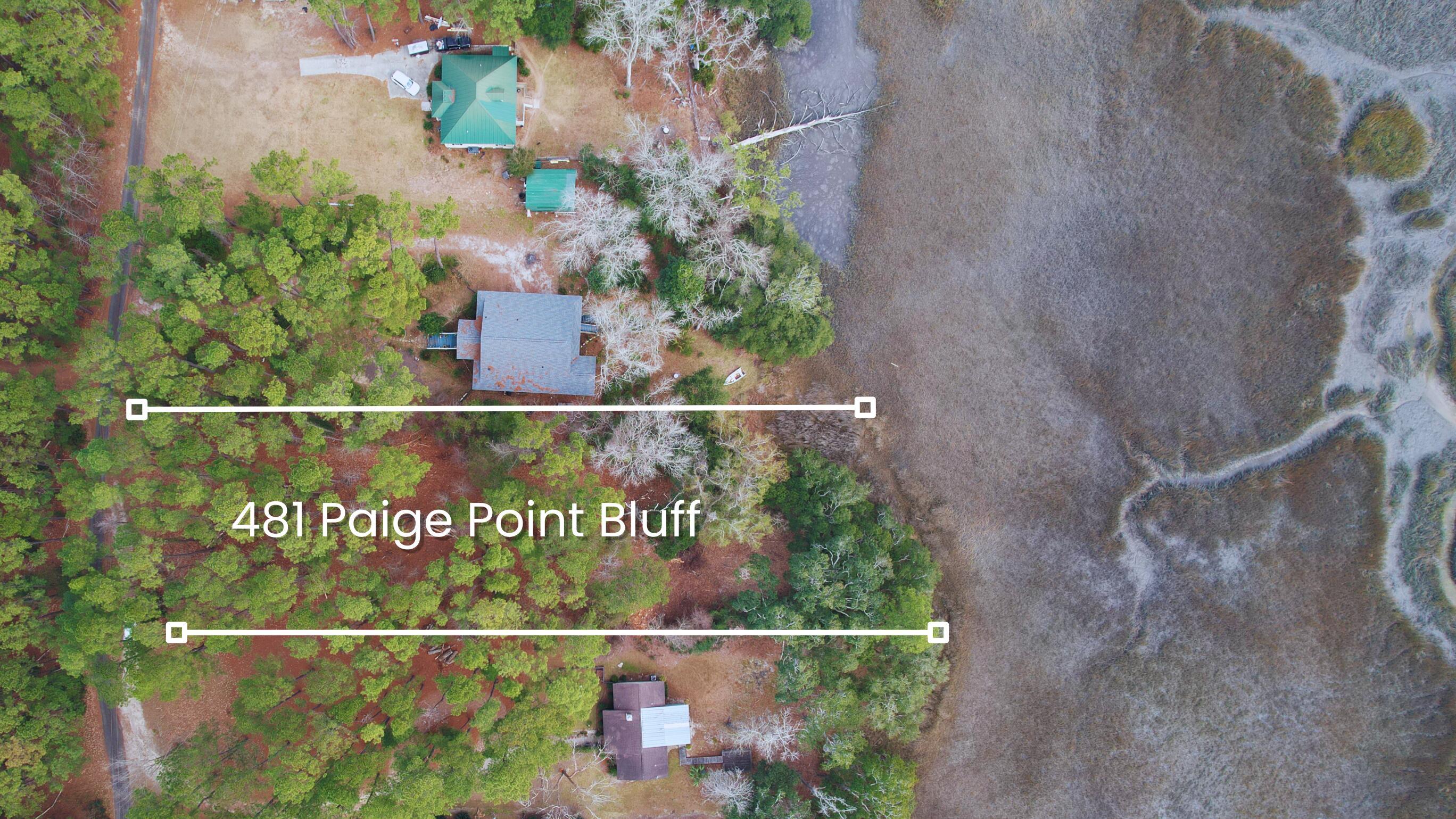 Image 1: 481 Paige Point Bluff