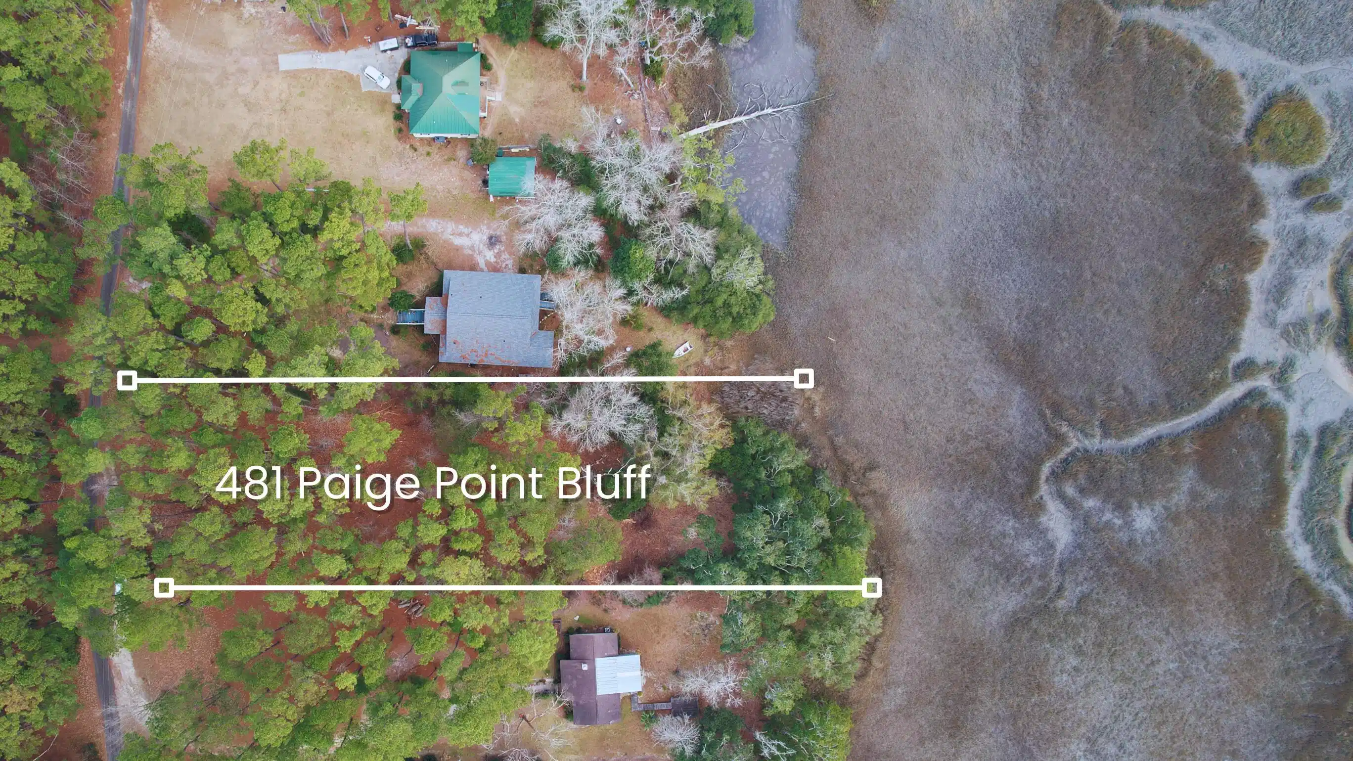 Image 1: 481 Paige Point Bluff