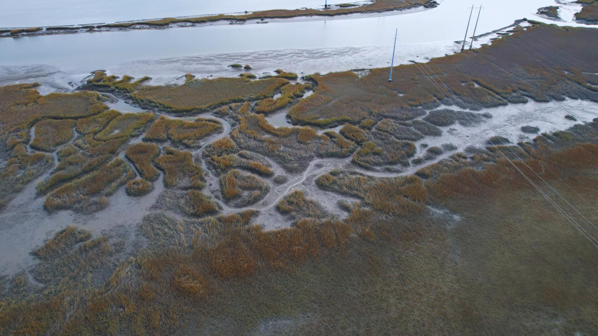 Image 3: PPB_Lot_Marsh
