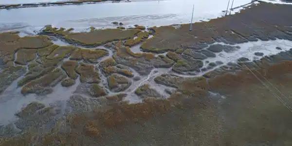Image 3: PPB_Lot_Marsh