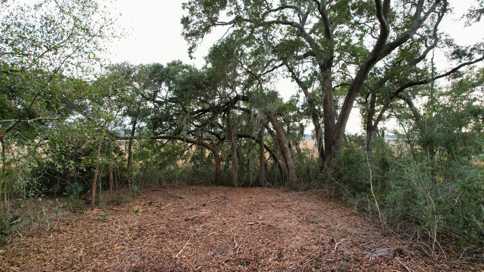 Image 4: PPB_LotView