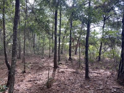 Tackey Point Road