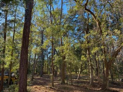 Lot 2e Claussen House Drive