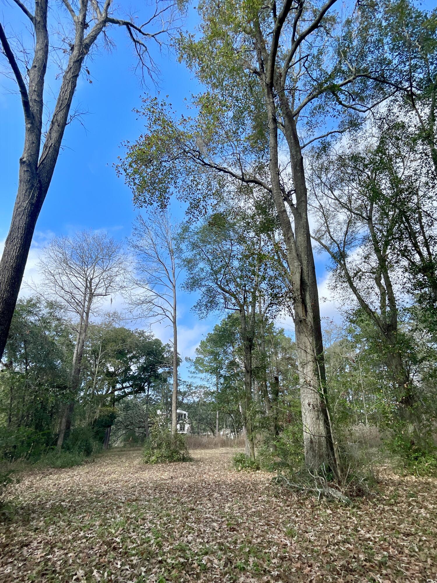 Image 2: bradham road view north