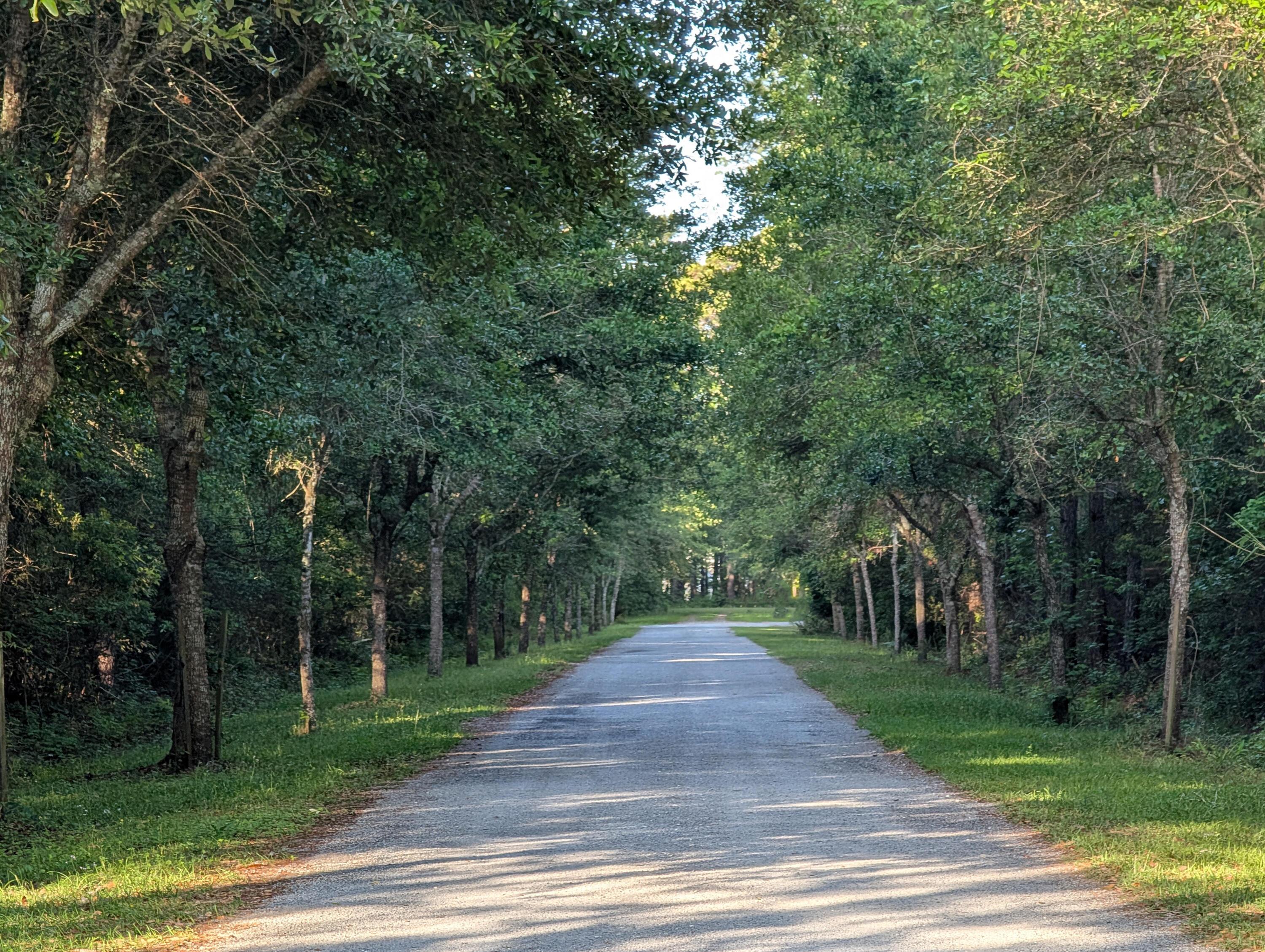 Image 3: Entrance Road