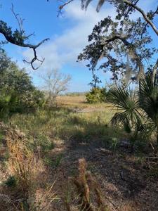 7063 Whistling Alligator Way