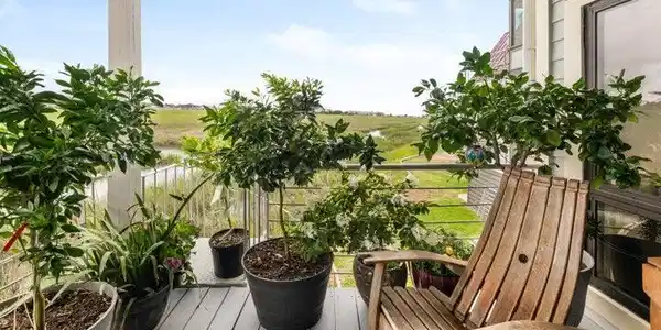 233 Little Oak Island Drive