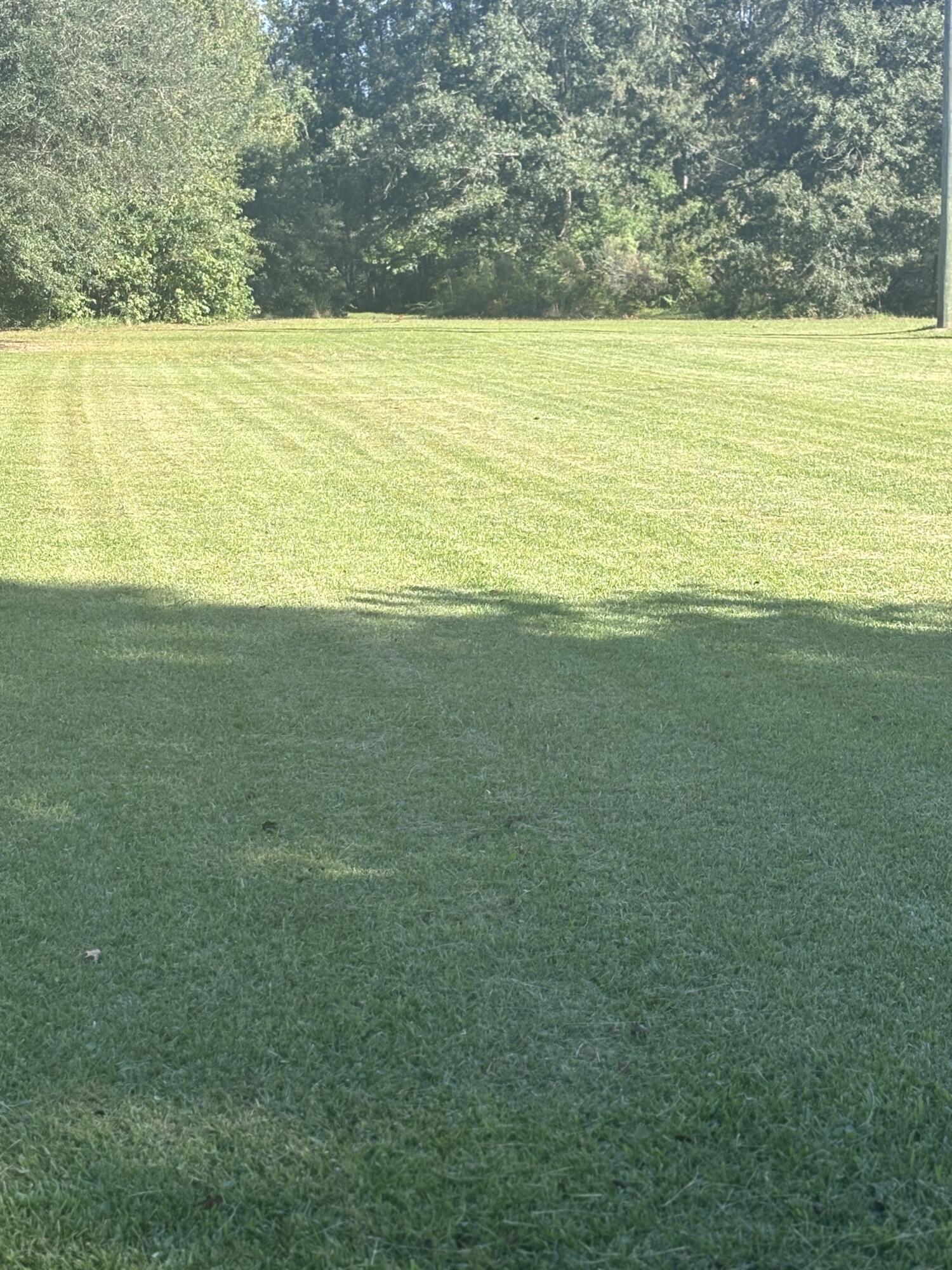 Image 3: IMG_6107