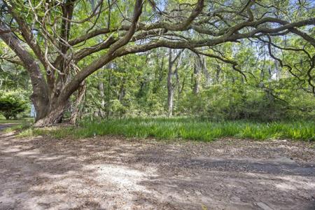 2496 Boy Scout Road
