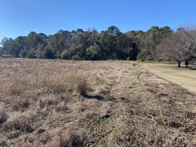 4798 Reggie Road, Johns Island SC 29455
